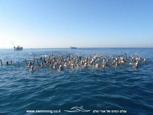 אימוני שחייה לקבוצת המאסטרס